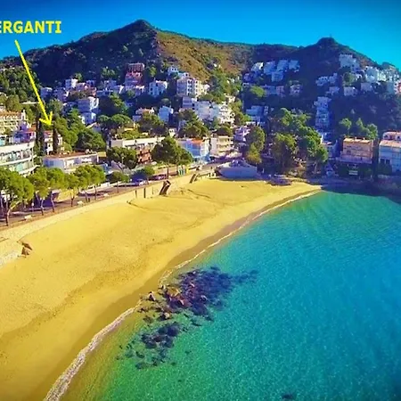El Berganti Nº6 * Rosas